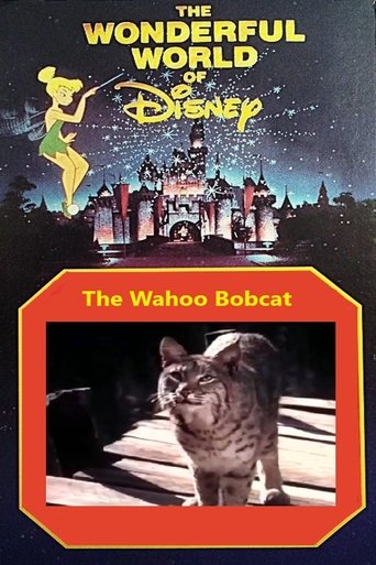 The Wahoo Bobcat Poster of The Wahoo Bobcat