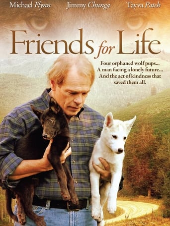 Poster of Friends for Life