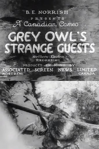 Grey Owl's Strange Guests Poster of Grey Owl's Strange Guests