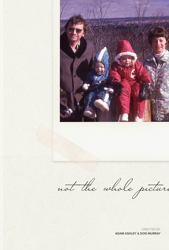 Not The Whole Picture Poster of Not The Whole Picture