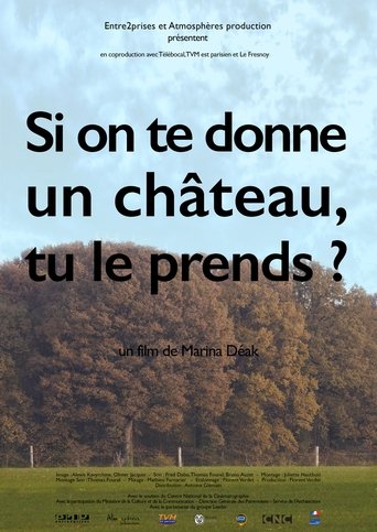 Si on te donne un château, tu le prends? Poster of Si on te donne un château, tu le prends?