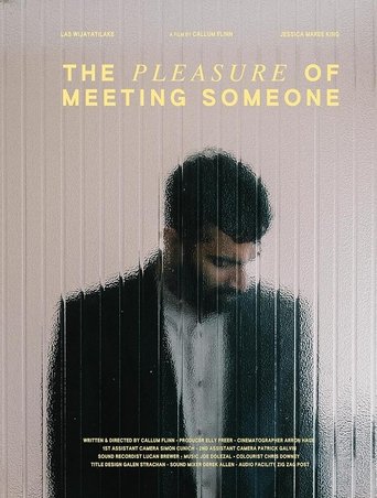 The Pleasure of Meeting Someone Poster of The Pleasure of Meeting Someone