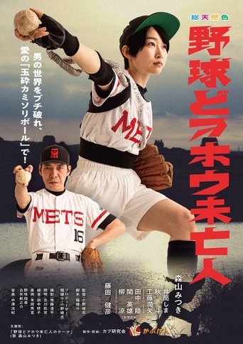 Baseball Idiot Widow Poster of Baseball Idiot Widow