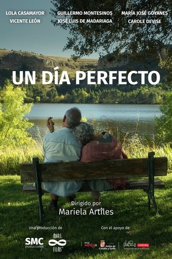 Un día perfecto Poster of Un día perfecto