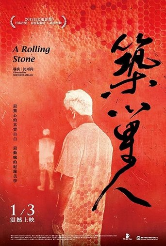 A Rolling Stone Poster of A Rolling Stone