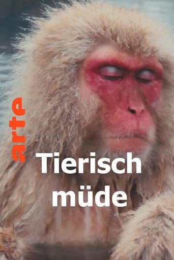 Tierisch müde - Das Rätsel Schlaf Poster of Tierisch müde - Das Rätsel Schlaf