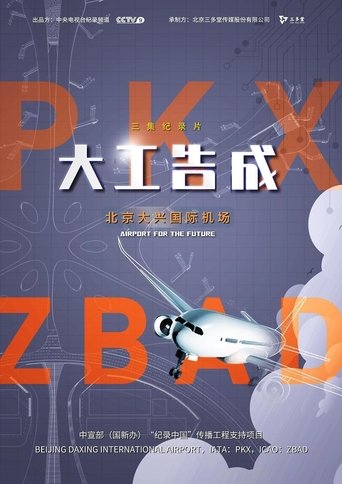 大工告成:北京大兴国际机场 Poster of 大工告成:北京大兴国际机场
