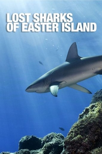 Lost Sharks of Easter Island Poster of Lost Sharks of Easter Island