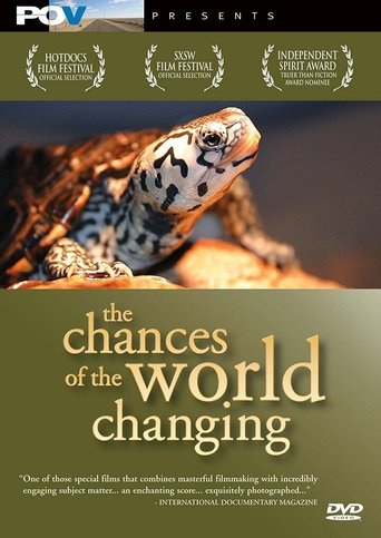 The Chances of the World Changing Poster of The Chances of the World Changing