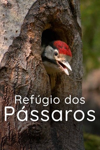 Refúgio dos Pássaros Poster of Refúgio dos Pássaros