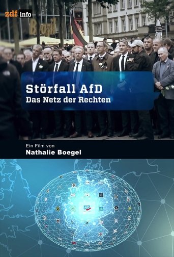 Störfall AfD – Das Netz der Rechten Poster of Störfall AfD – Das Netz der Rechten