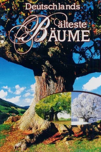 Deutschlands älteste Bäume Poster of Deutschlands älteste Bäume