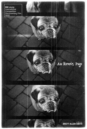 Au Revoir, Pugs Poster of Au Revoir, Pugs