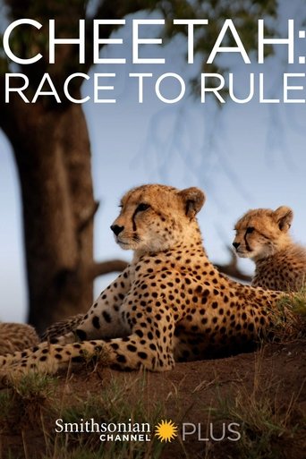 Cheetah: Race to Rule Poster of Cheetah: Race to Rule