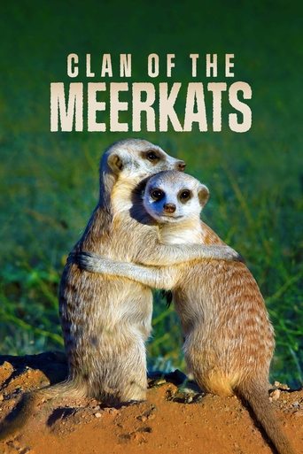 Clan of the Meerkat Poster of Clan of the Meerkat