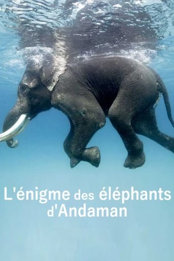 L'énigme des éléphants d'Andaman Poster of L'énigme des éléphants d'Andaman