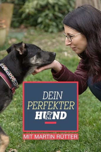 Dein perfekter Hund Poster of Dein perfekter Hund