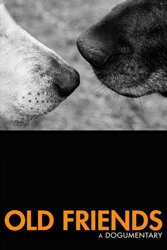 Old Friends: A Dogumentary Poster of Old Friends: A Dogumentary
