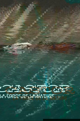 Castor, la force de la nature Poster of Castor, la force de la nature