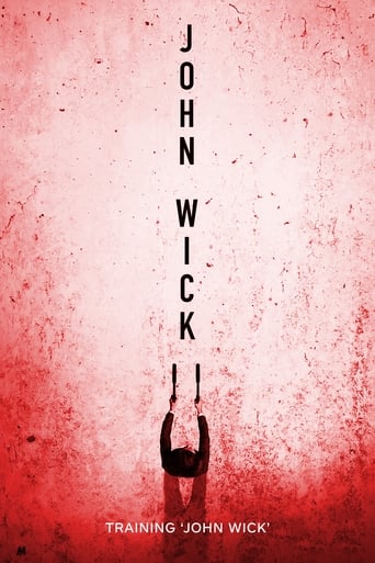 Poster of Training 'John Wick'