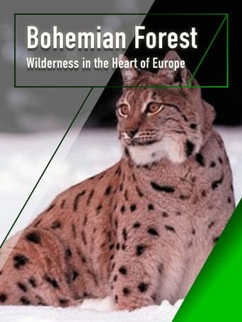 The Bohemian Forest - Wilderness in the Heart of Europe Poster of The Bohemian Forest - Wilderness in the Heart of Europe