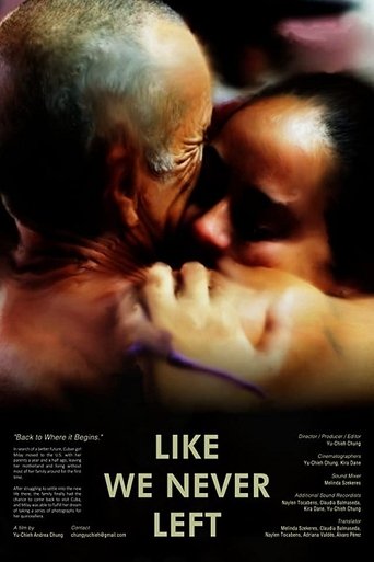 Like We Never Left Poster of Like We Never Left