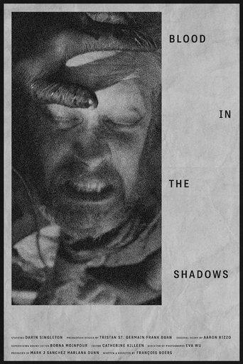 Blood in the Shadows Poster of Blood in the Shadows