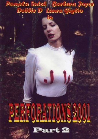 Perforations 2001 Part 2 Poster of Perforations 2001 Part 2