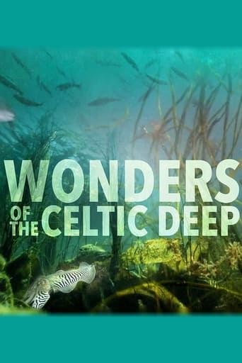 Poster of Wonders of the Celtic Deep