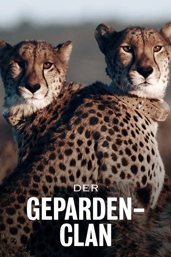 Cheetahs United Poster of Cheetahs United