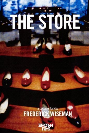 The Store Poster of The Store