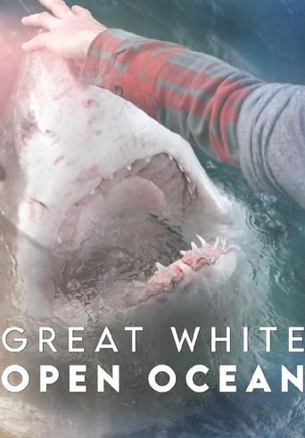 Great White Open Ocean Poster of Great White Open Ocean