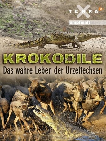 Crocodiles - The Private Life of Primeaval Reptiles Poster of Crocodiles - The Private Life of Primeaval Reptiles
