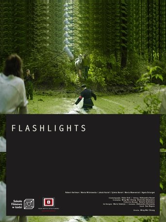 Flashlights Poster of Flashlights