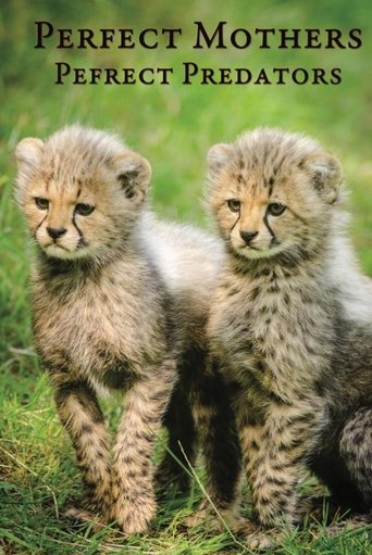 Perfect Mothers, Perfect Predators Poster of Perfect Mothers, Perfect Predators