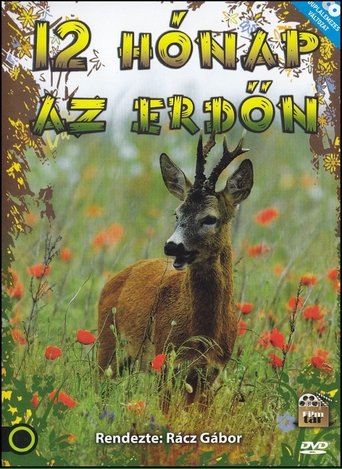 12 hónap az erdőn Poster of 12 hónap az erdőn