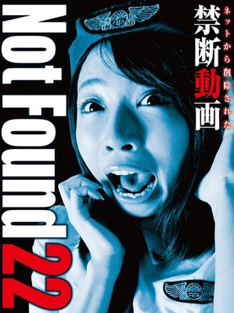Not Found 22 Poster of Not Found 22