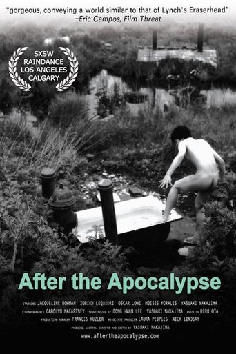 After the Apocalypse Poster of After the Apocalypse