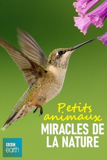 Petits animaux, miracles de la nature Poster of Petits animaux, miracles de la nature