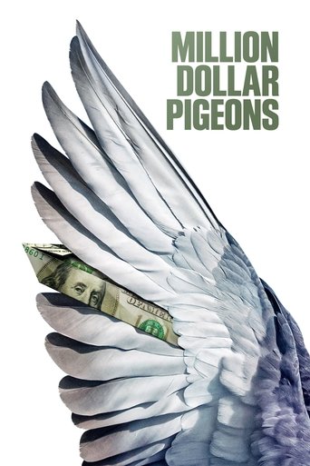 Million Dollar Pigeons Poster of Million Dollar Pigeons