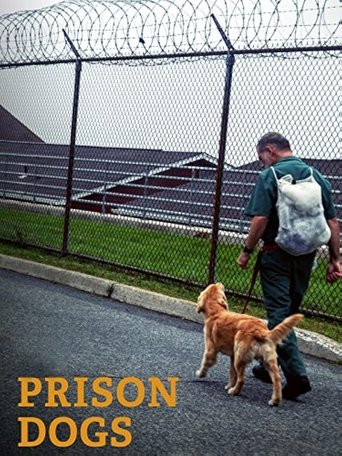 Prison Dogs Poster of Prison Dogs