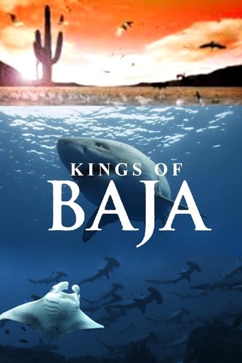 Kings of Baja Poster of Kings of Baja