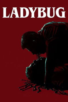 Ladybug Poster of Ladybug