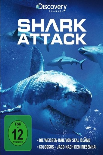 Shark Attack Poster of Shark Attack