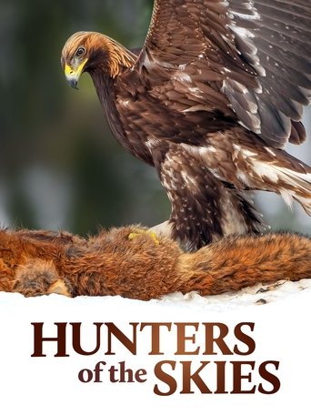 Hunters of the Skies Poster of Hunters of the Skies