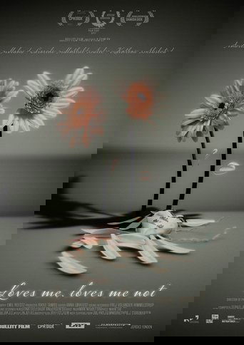 Loves Me, Loves Me Not Poster of Loves Me, Loves Me Not