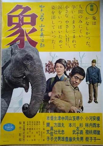 Elephant from "Zoo Story" Poster of Elephant from "Zoo Story"