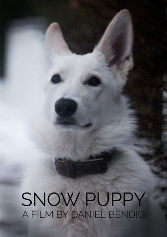 Snow Puppy Poster of Snow Puppy