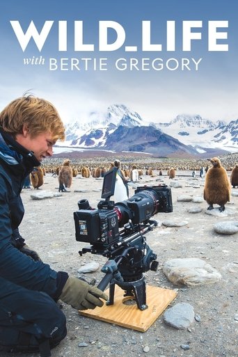 Wild Life with Bertie Gregory Poster of Wild Life with Bertie Gregory