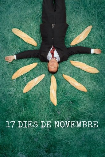 17 dies de novembre Poster of 17 dies de novembre